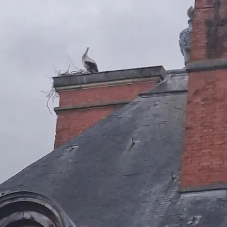 Une Maison Lorraine Proche Du Chateau *